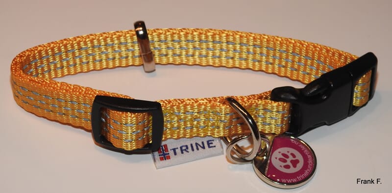 TRIXIE Hundehalsband Größe S – 25-40 Cm Verstellbar, 15 Mm Breit, Farbe Fuchsia